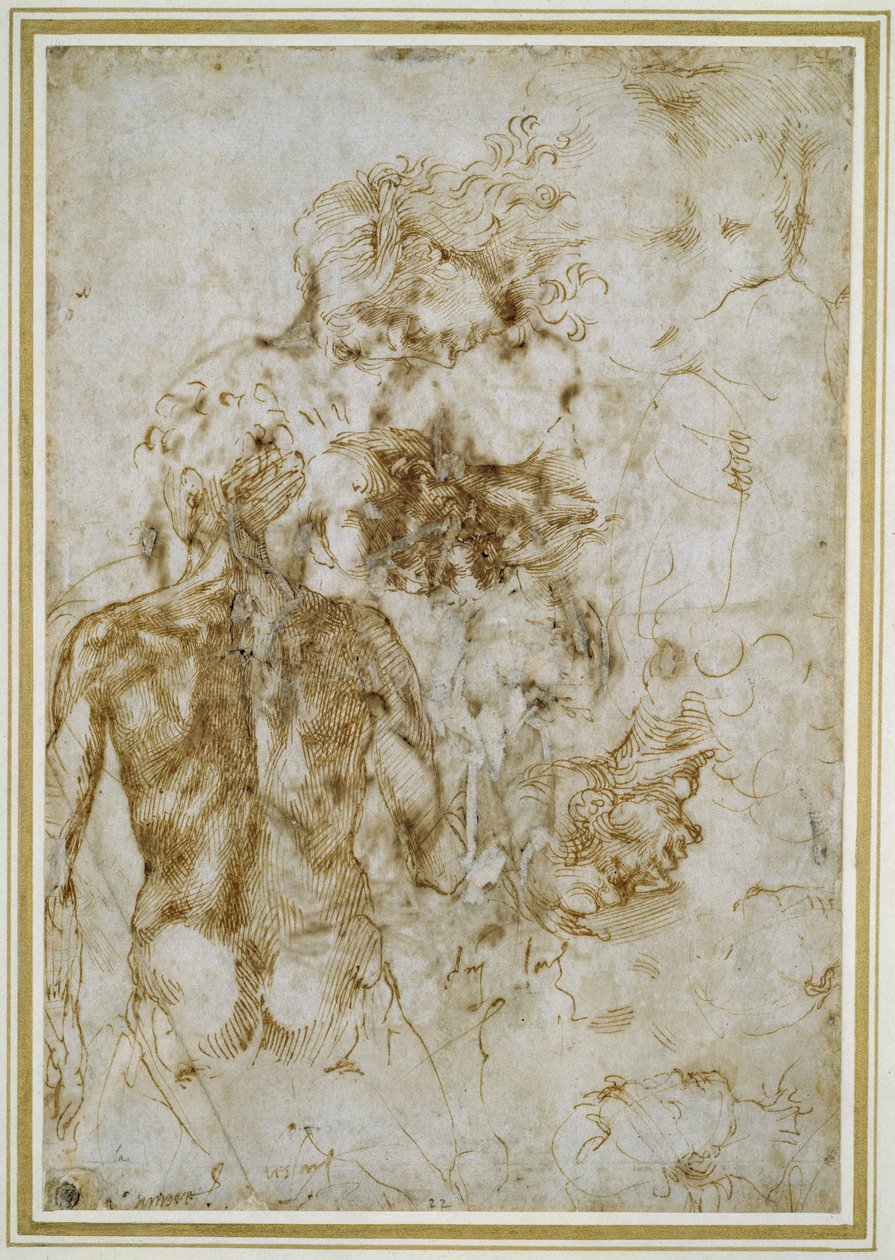 Vários estudos de figura (caneta e tinta marrom em papel branco) de Michelangelo Buonarroti