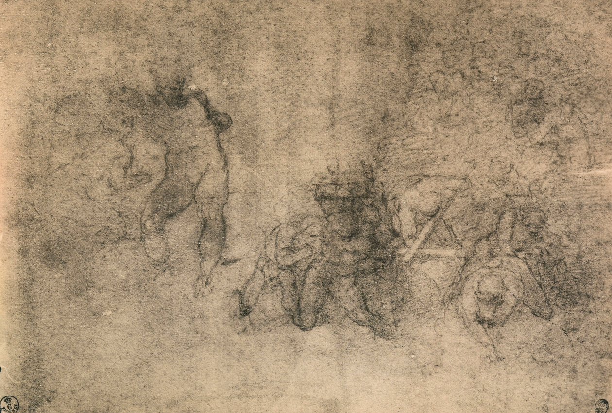 Vários estudos de um nu masculino, Michelangelo. Gabinete de Desenhos e Gravuras, Galeria Uffizi, Florença de Michelangelo Buonarroti