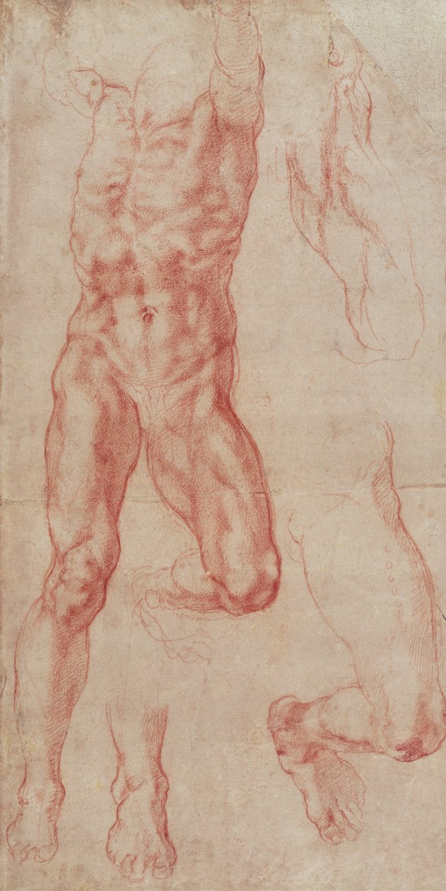 Estudo de um nu masculino, alongando para cima de Michelangelo Buonarroti
