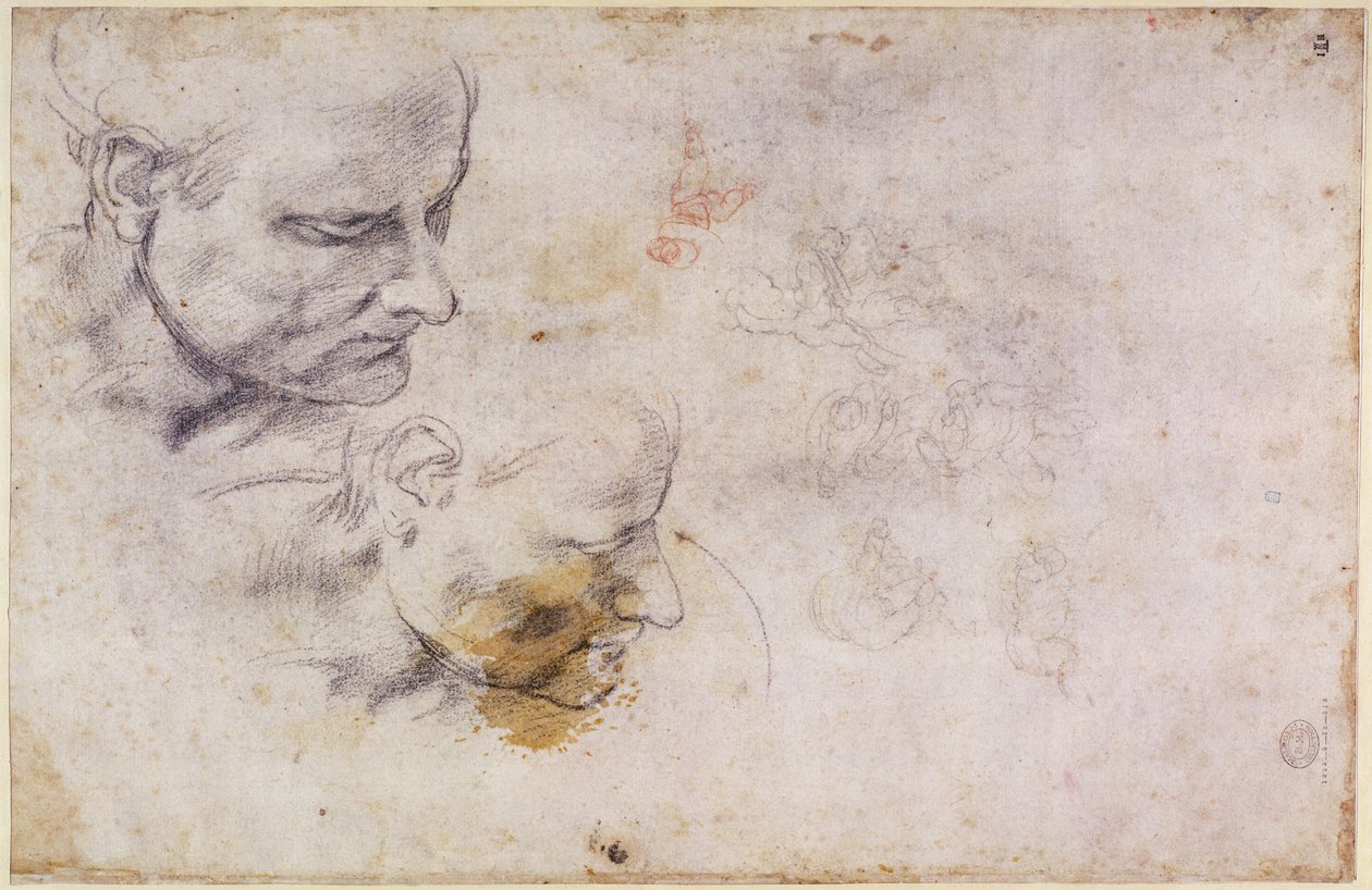 W.60 Esboço de uma cabeça masculina, em duas posições de Michelangelo Buonarroti