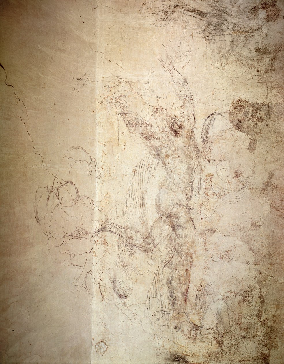 Parede de desenho de uma figura nua de Michelangelo Buonarroti