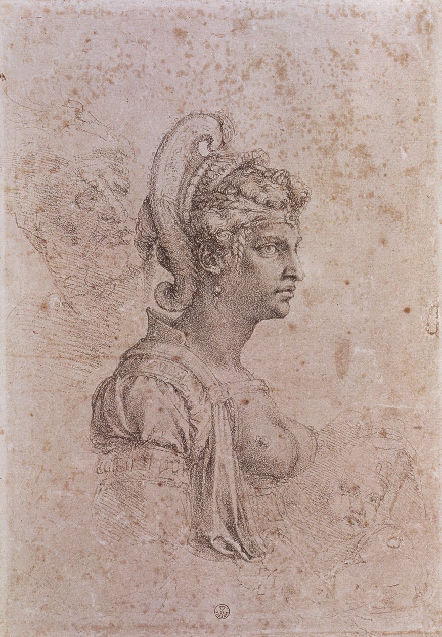 Zenobia, Rainha de Palmyra, Síria (século 3 dC) (carvão sobre papel) de Michelangelo Buonarroti