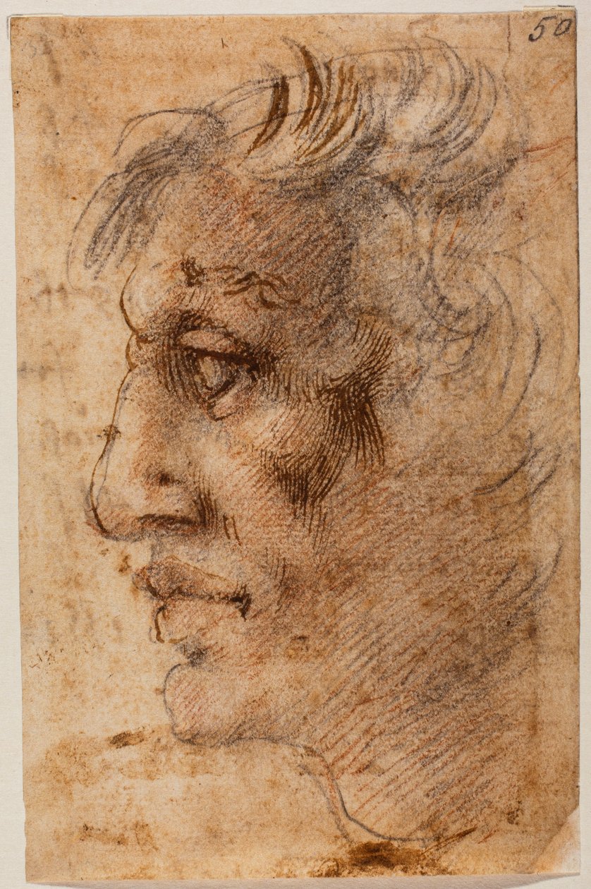 Cabeça masculina em perfil de Michelangelo (after) Buonarroti