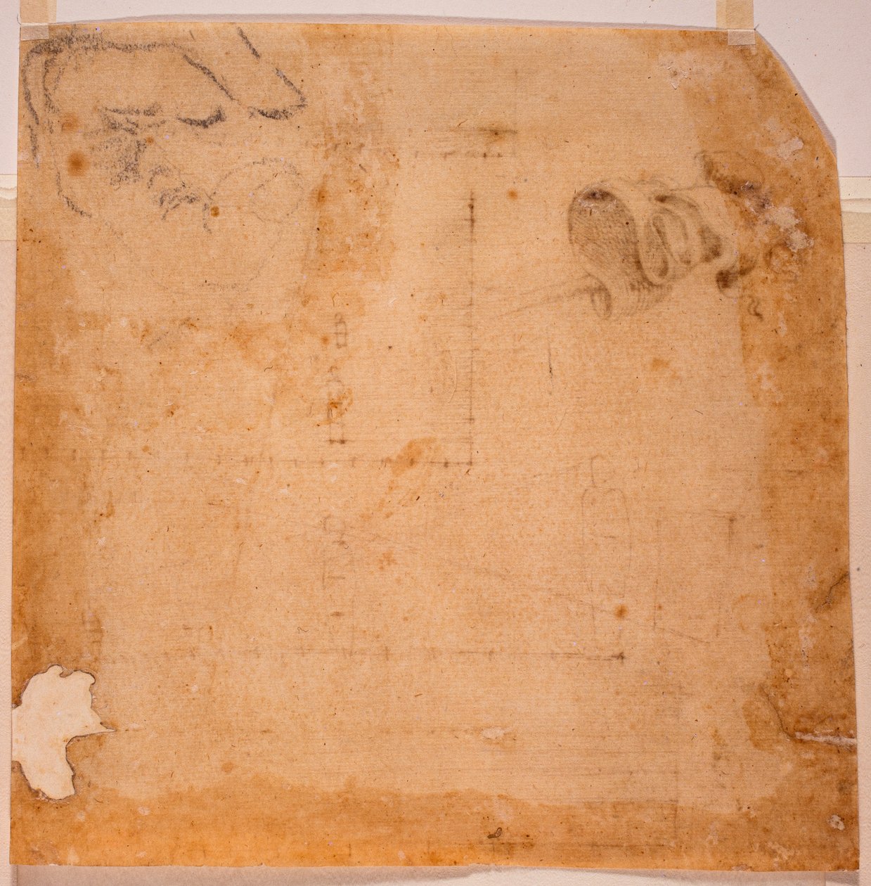Estudos de perspetiva e banner de Michelangelo (after) Buonarroti