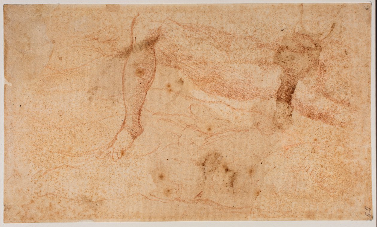 Estudos de nus de Michelangelo (after) Buonarroti