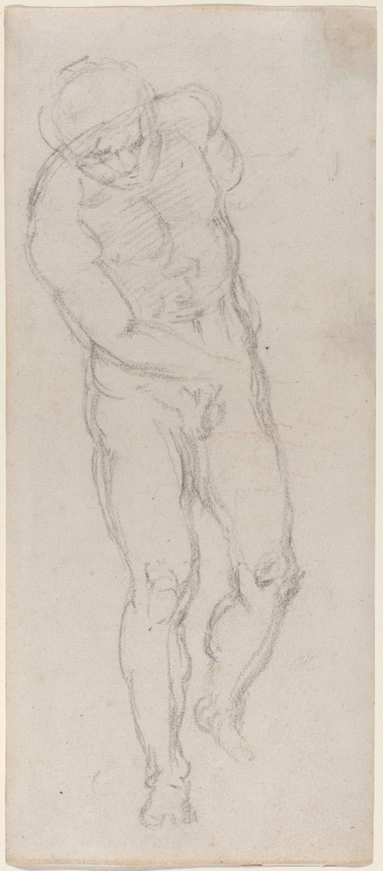 Nu Masculino [reto] de Michelangelo
