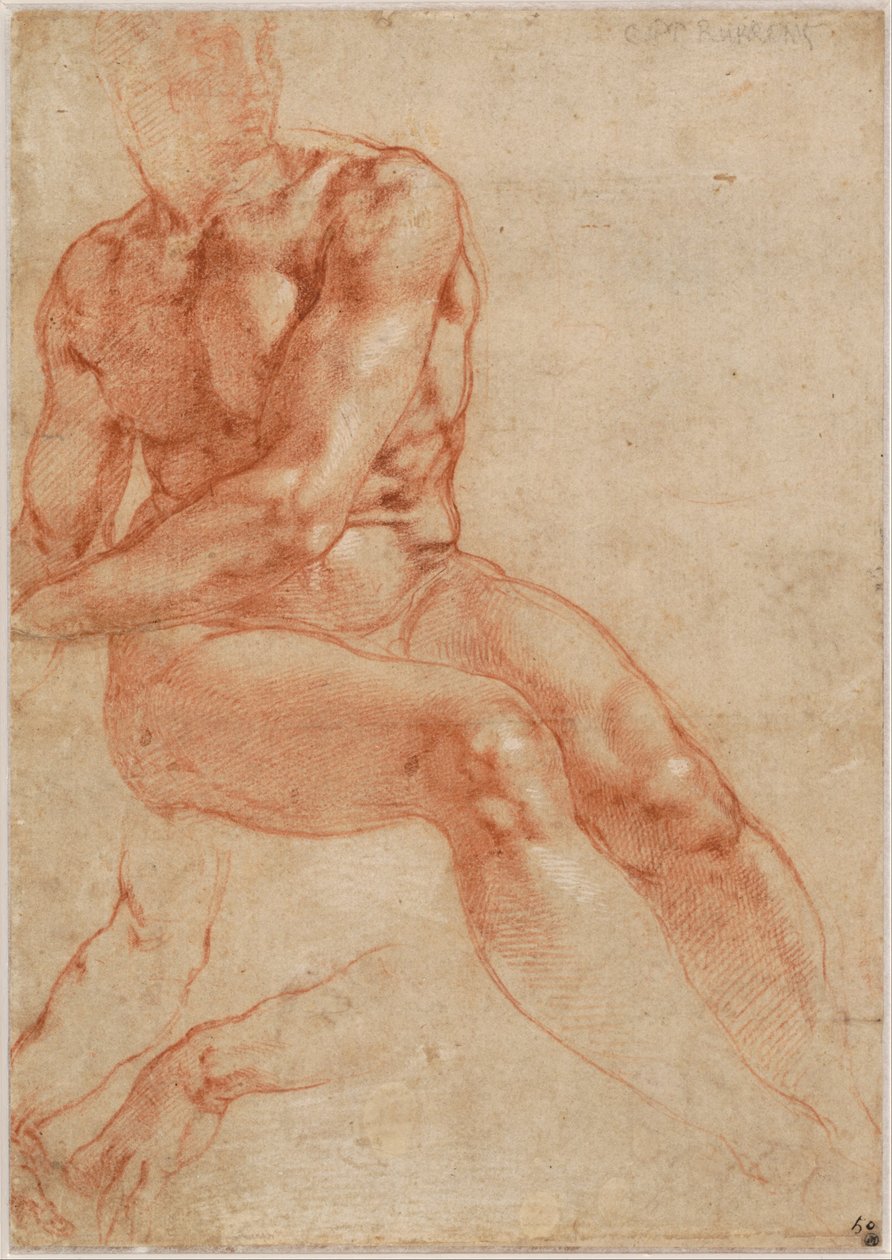 Nu masculino jovem sentado e dois estudos de braços (frente), c. 1510-11 de Michelangelo