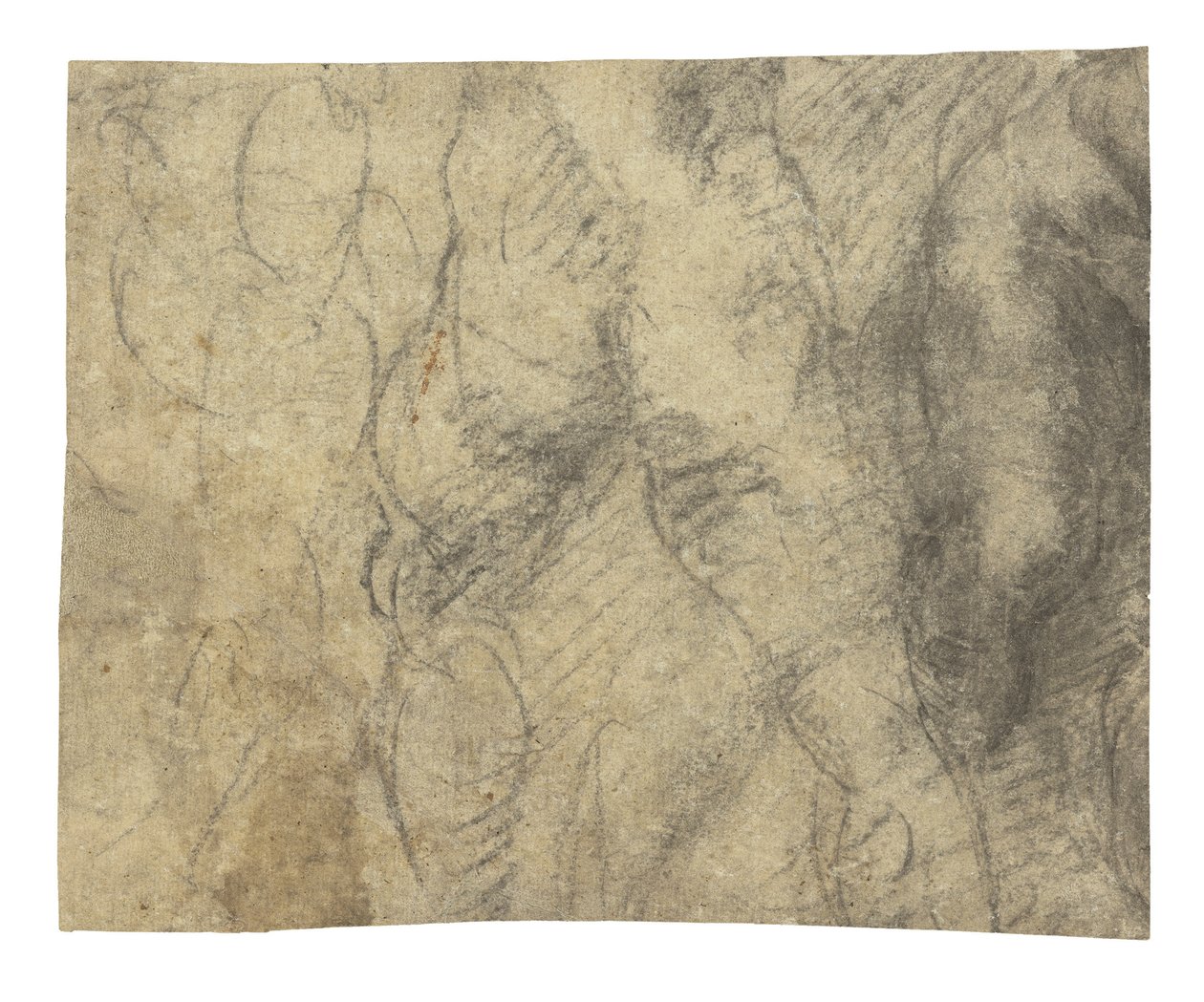 Um nu masculino visto por trás de Michelangelo Buonarroti