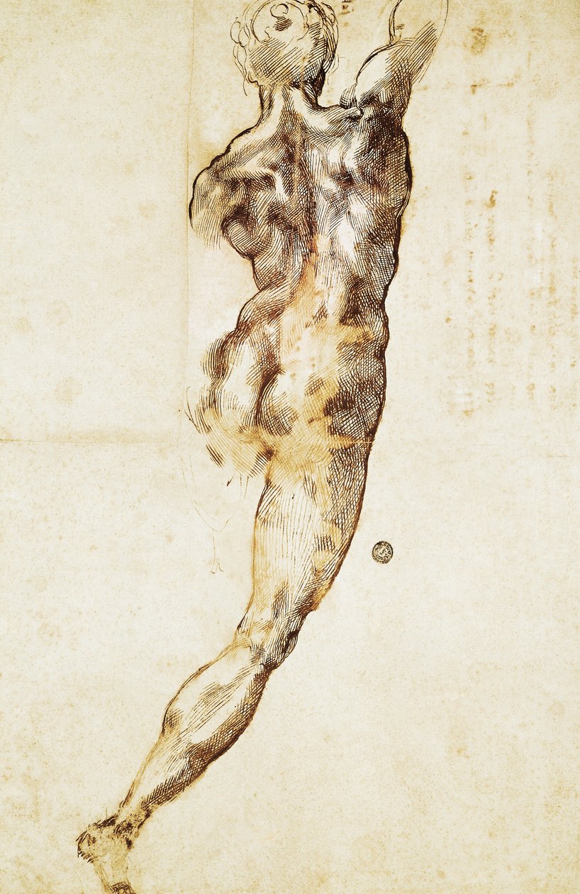 Um homem nu visto por trás, estudo para a Batalha de Cascina, de Michelangelo (1475-1564), desenhando. de Michelangelo Buonarroti