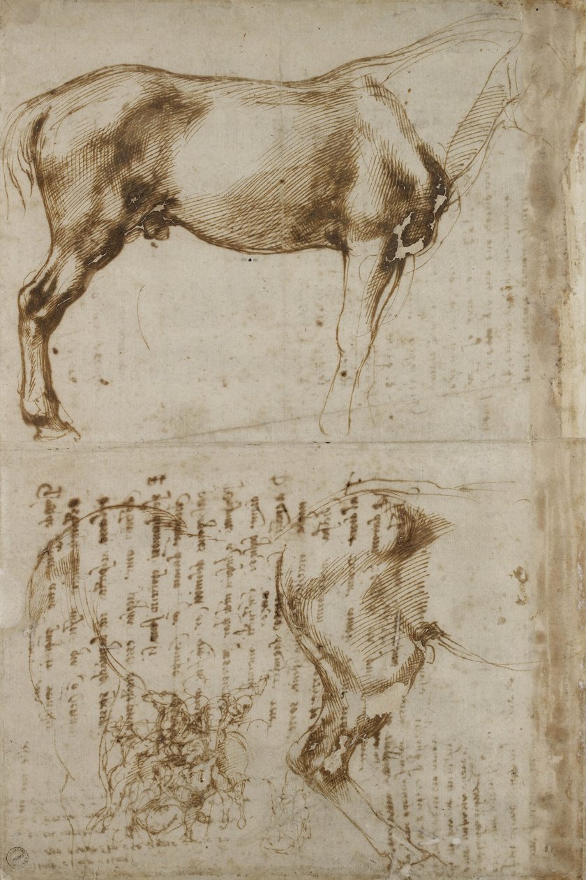 Estudo anatômico do cavalo, 1504 de Michelangelo Buonarroti