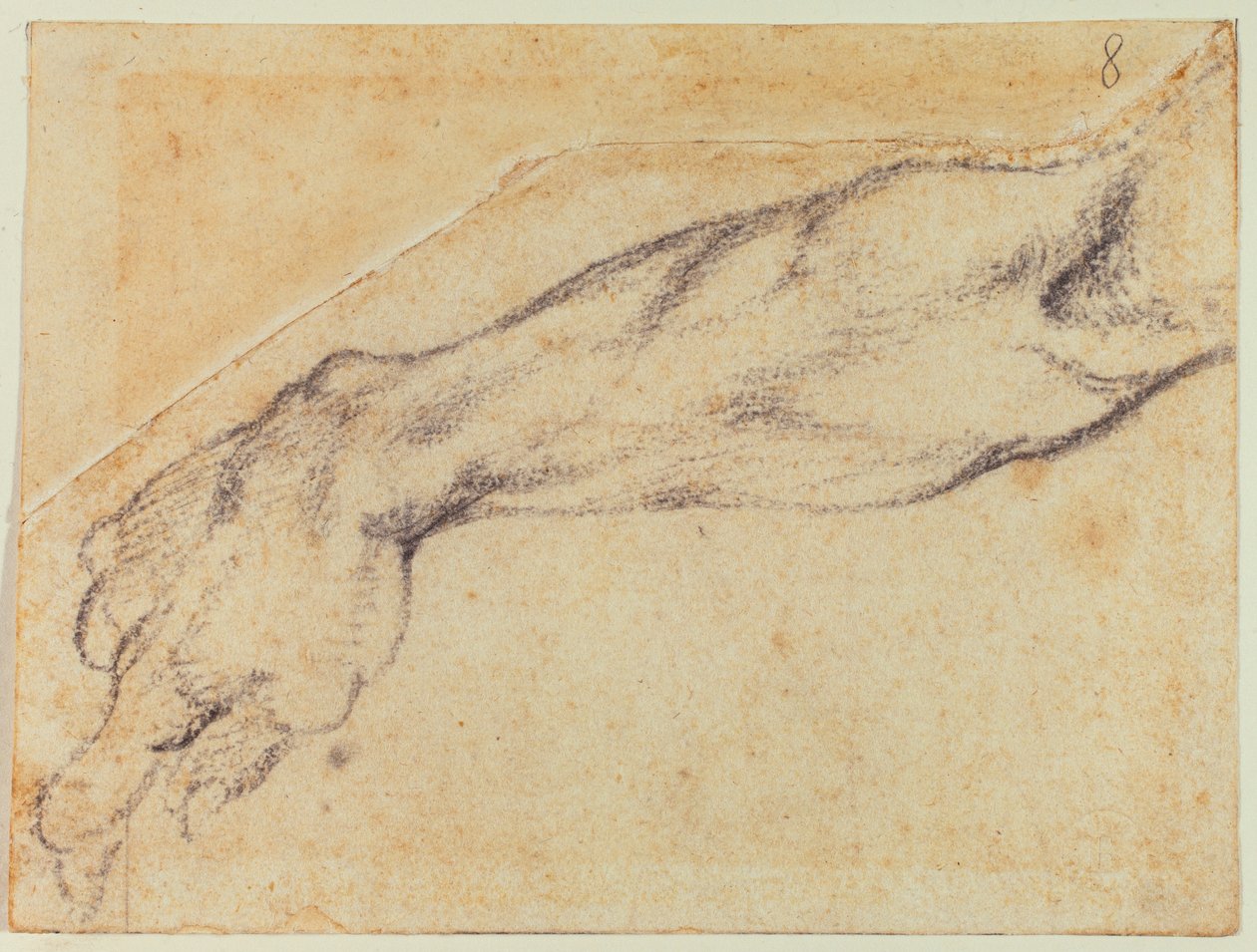 Estudo de braço para uma figura da Sistina de Michelangelo Buonarroti