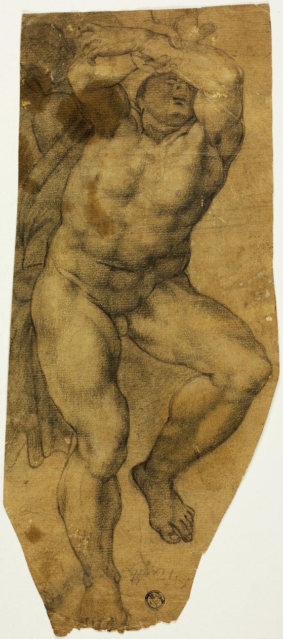 Nu Masculino Ascendente de Michelangelo Buonarroti
