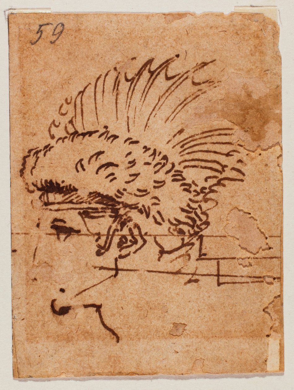 Cabeça com crista de Michelangelo Buonarroti
