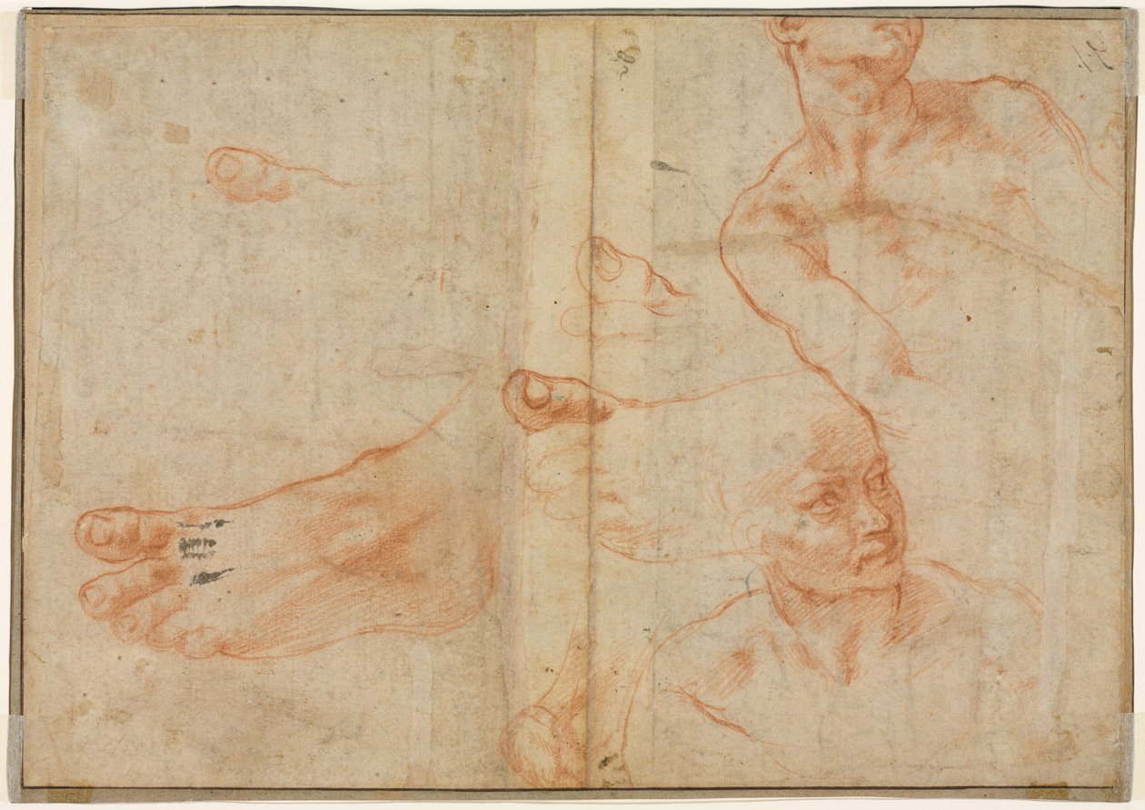Estudos de figuras para o teto de Sistine verso, 1510-11. de Michelangelo Buonarroti