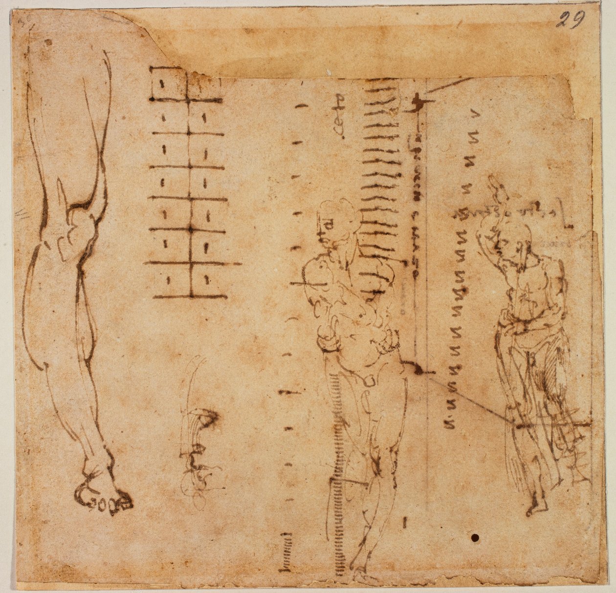Estudos de figuras de Michelangelo Buonarroti