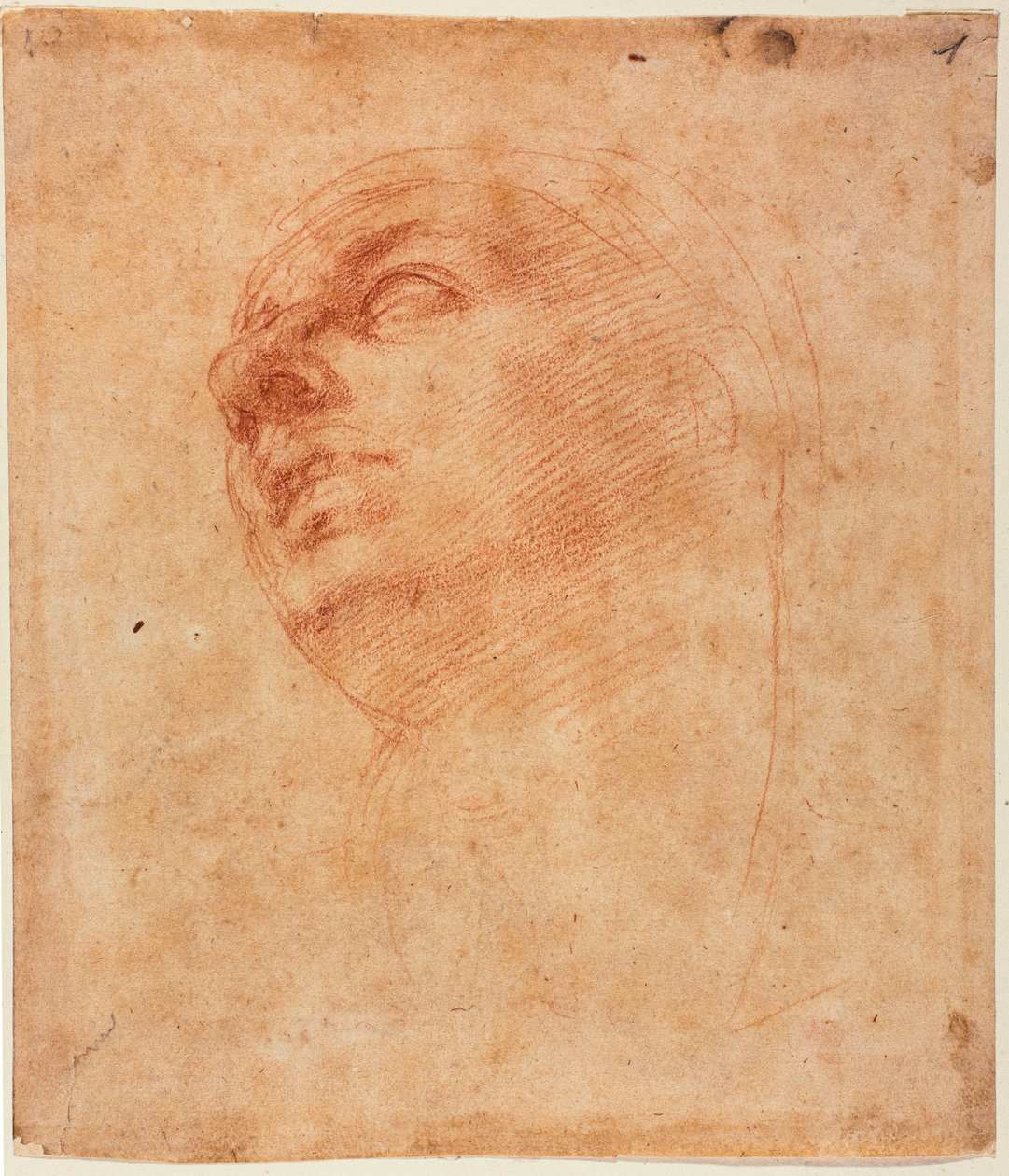 Estudo de cabeça para o Jonas da Sistina de Michelangelo Buonarroti