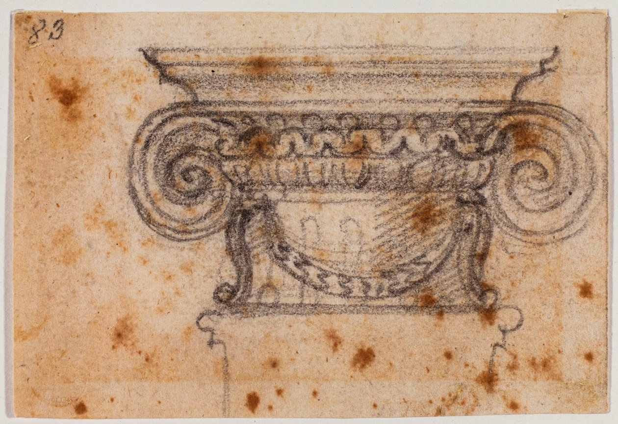 Estudo do capital iónico de Michelangelo Buonarroti