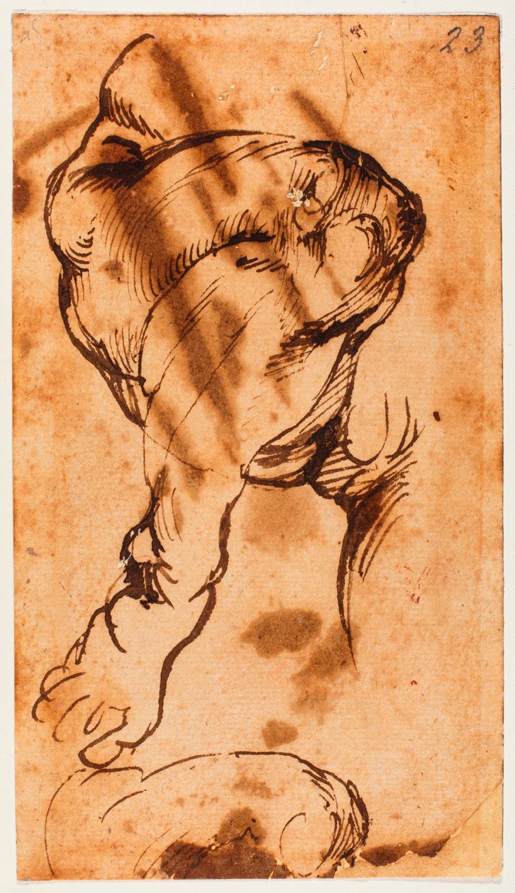 Estudo de pernas para a criança no Doni Tondo de Michelangelo Buonarroti