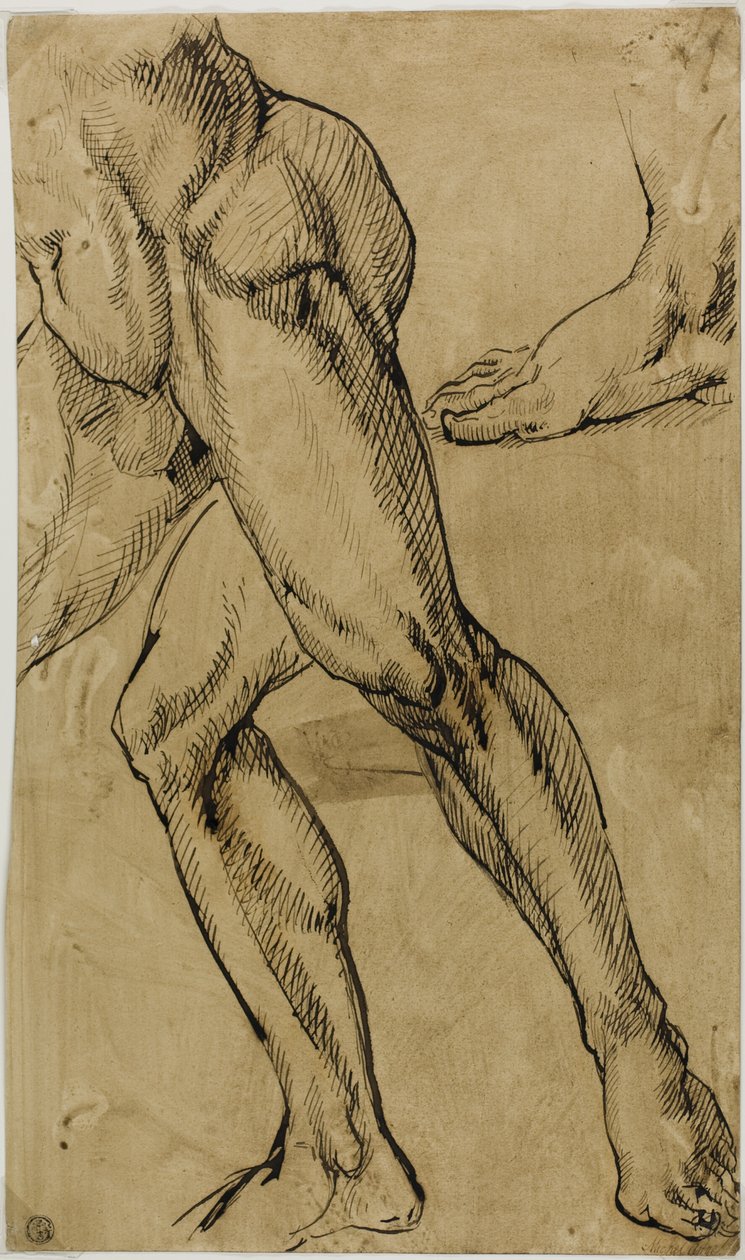 Pernas e pés de nu masculino de Michelangelo Buonarroti