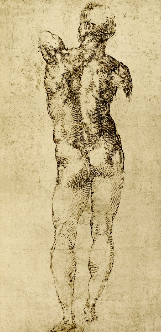 Macho nu de Michelangelo Buonarroti