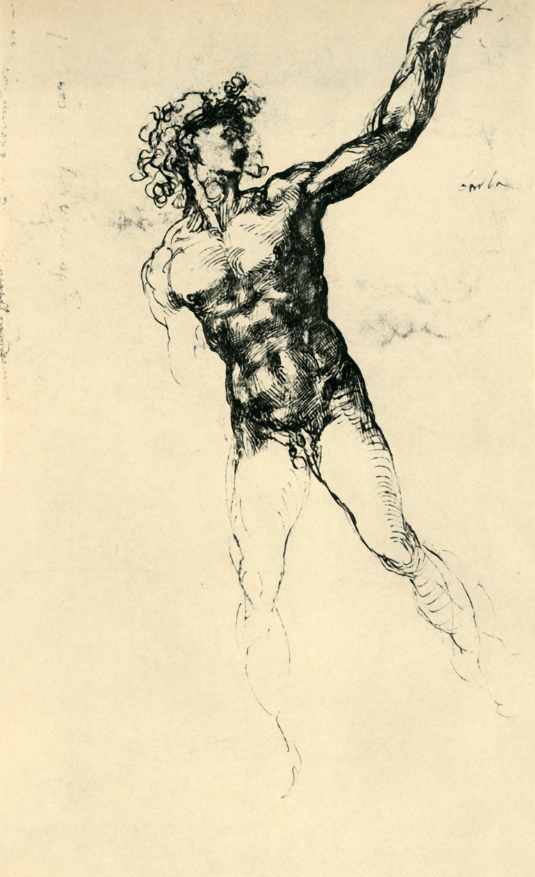 Nu masculino, 1503-1504, 1943. de Michelangelo Buonarroti