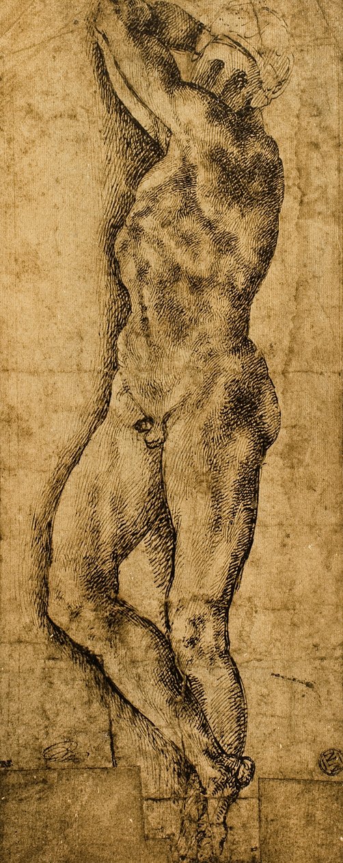 Nu masculino; desenho de Michelangelo. O louvre, paris de Michelangelo Buonarroti