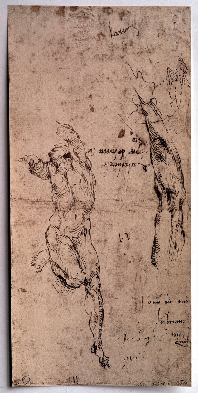 Homem nu, estudo do braço Desenho de Michelangelo Buonarroti dit Michelangelo (Michelangelo ou Michel Ange de Michelangelo Buonarroti