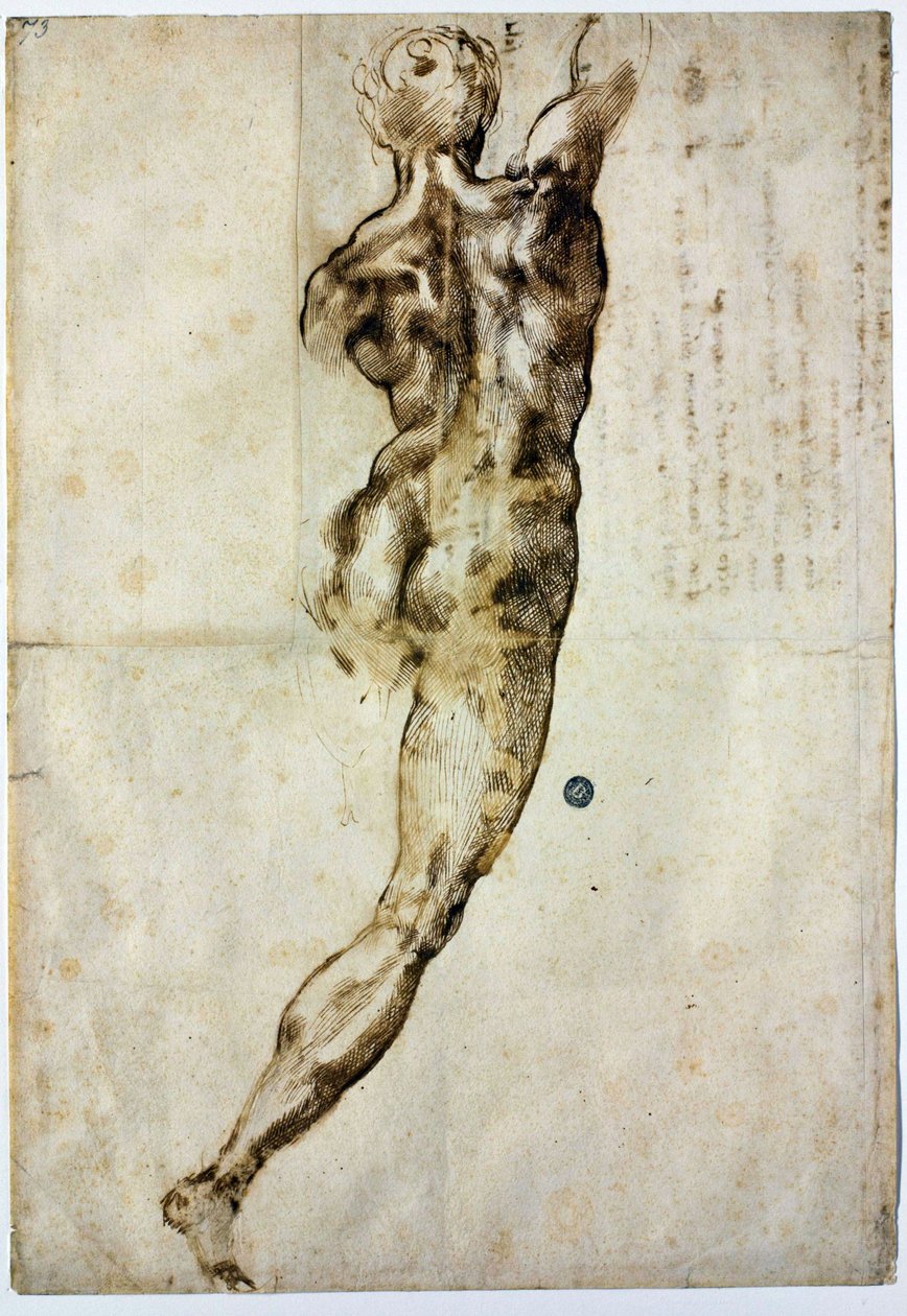 Nu por trás, c. 1504 de Michelangelo Buonarroti