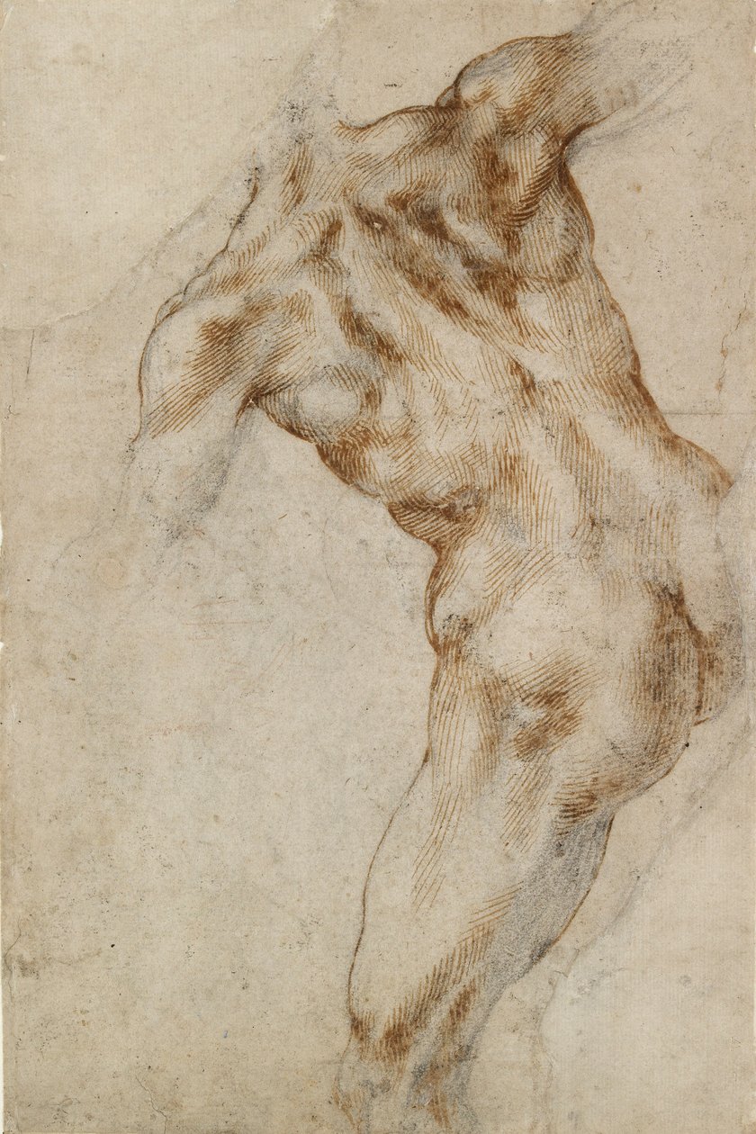 Torso masculino nu, início do século XVI de Michelangelo Buonarroti