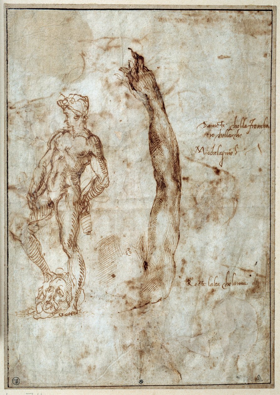 Estudo nu. Michelangelo Buonarroti dit Michelangelo ou Michel Ange de Michelangelo Buonarroti