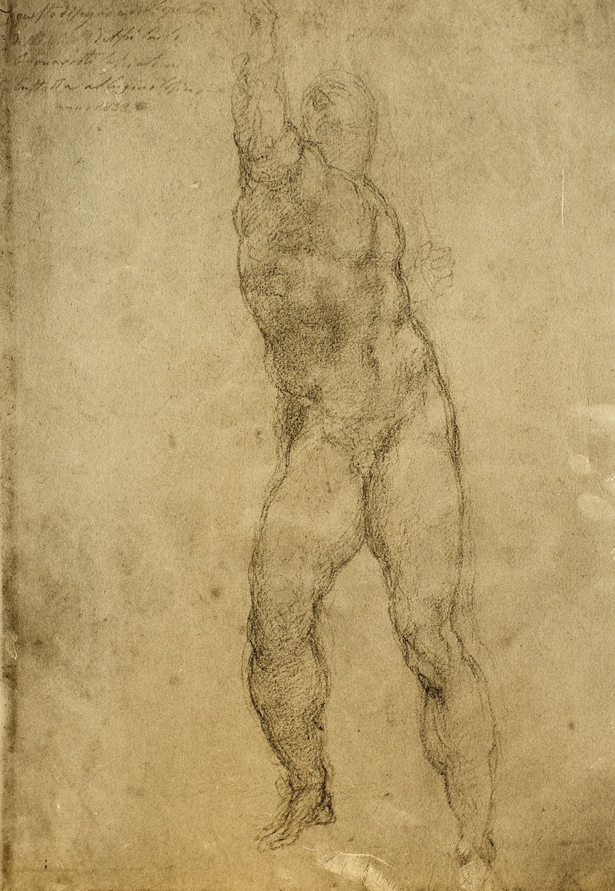 Estudo nu, desenhando por Michelangelo. Gallerie dellAccademia, Veneza de Michelangelo Buonarroti
