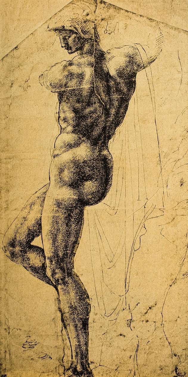 Estudo nu; desenho de Michelangelo. Museu do Louvre, Paris de Michelangelo Buonarroti
