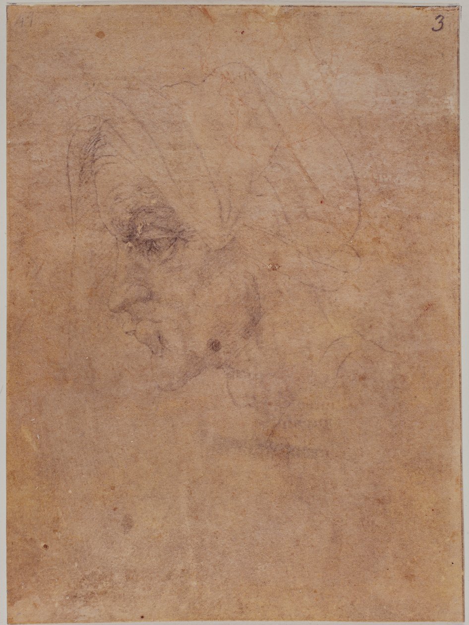 Perfil de uma mulher idosa de Michelangelo Buonarroti
