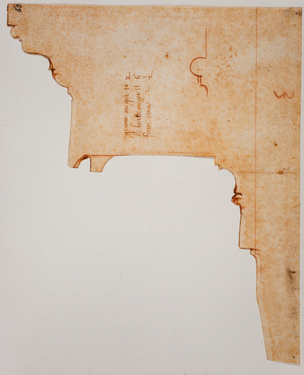 Perfil do entablamento de Michelangelo Buonarroti