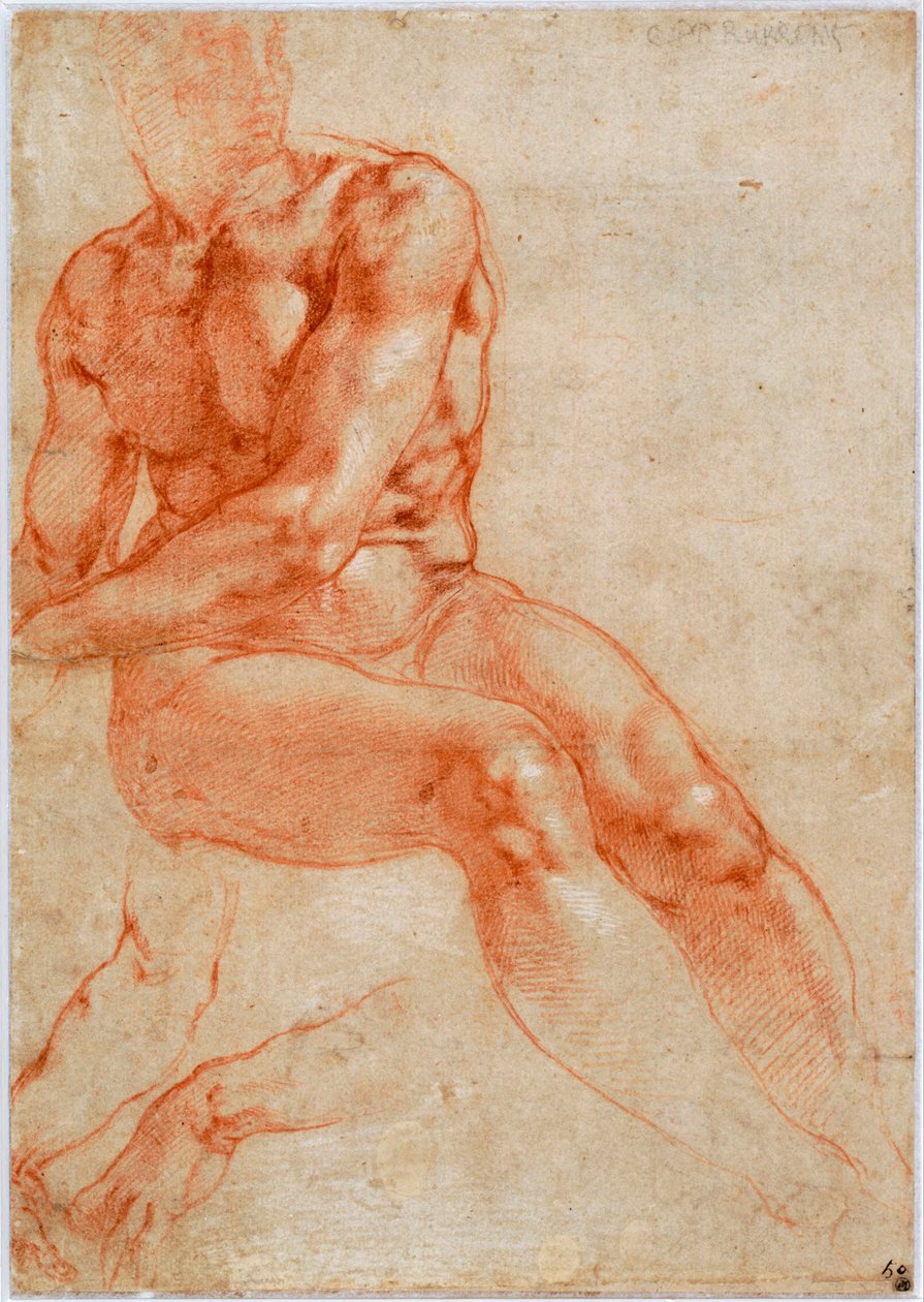 Estudos sobre homens jovens com assento nu e braço, ca 1510-1511 de Michelangelo Buonarroti