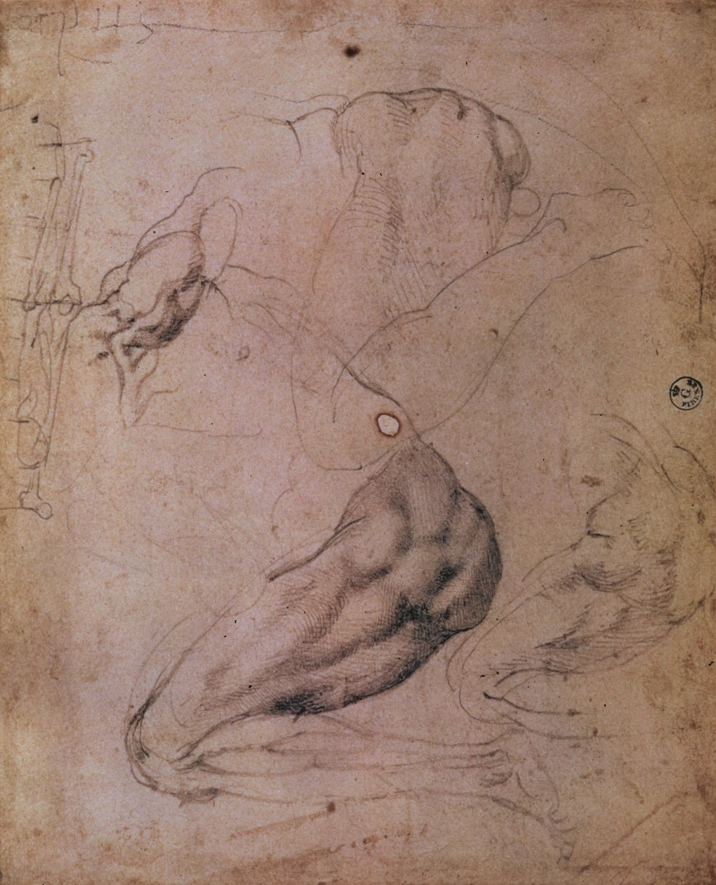 Tecto da Capela Sistina (1508-12): esboços da figura de Eva da cena de O Pecado Original (carvão sobre papel) de Michelangelo Buonarroti