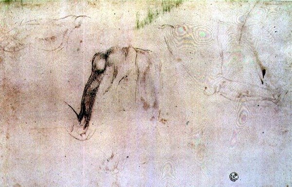 Esboço das pernas (carvão vegetal sobre papel) de Michelangelo Buonarroti