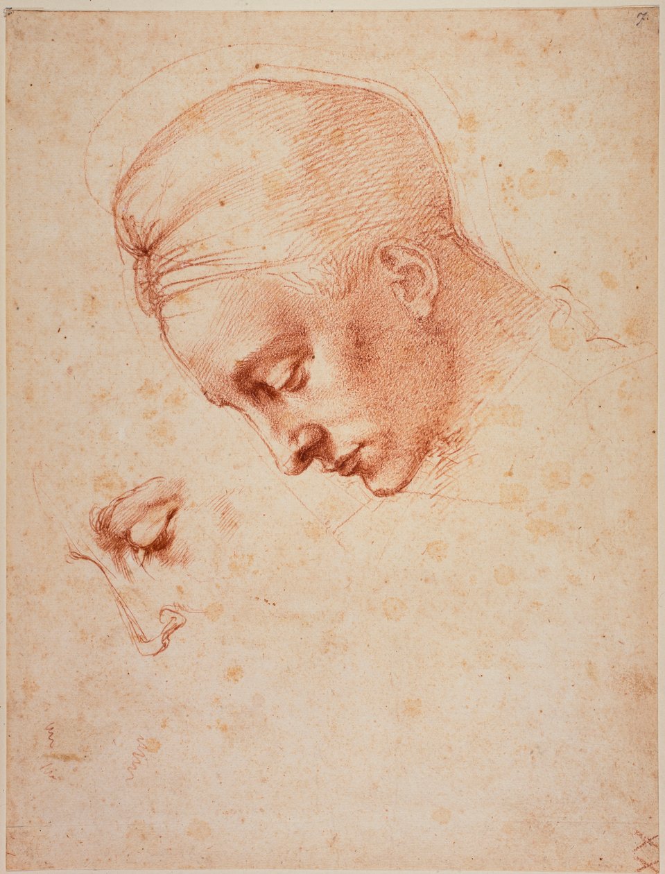 Estudos para a cabeça de "Leda de Michelangelo Buonarroti