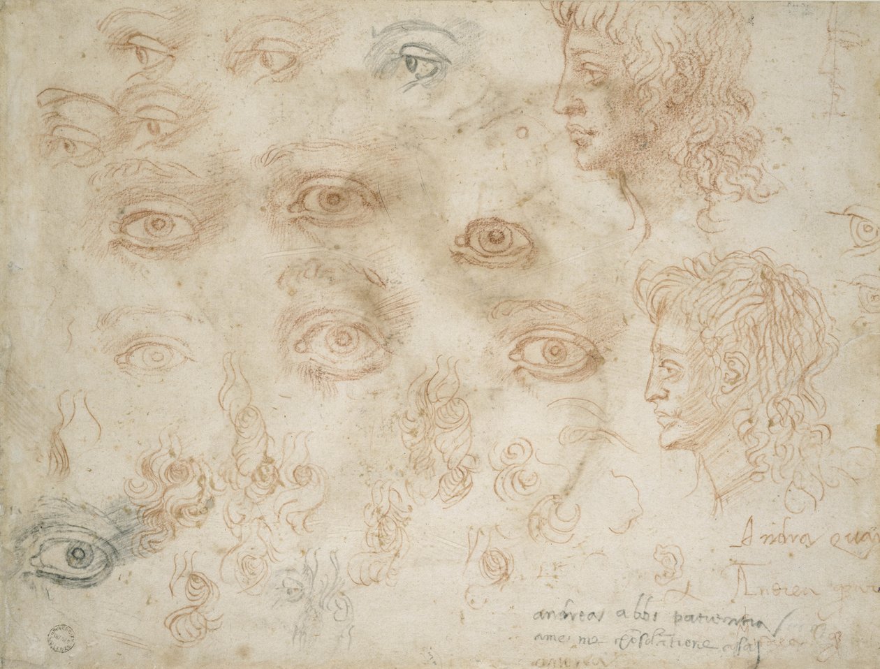 Estudos de duas cabeças, c.1525 (giz no papel) de Michelangelo Buonarroti