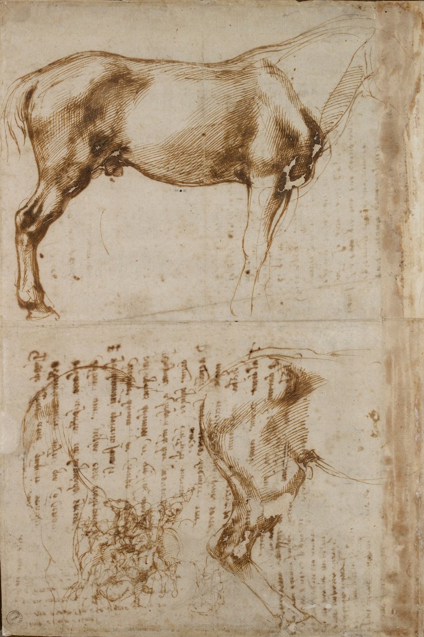 Estudos de um cavalo e de um cavaleiro atacando soldados de infantaria, início do século XVI de Michelangelo Buonarroti