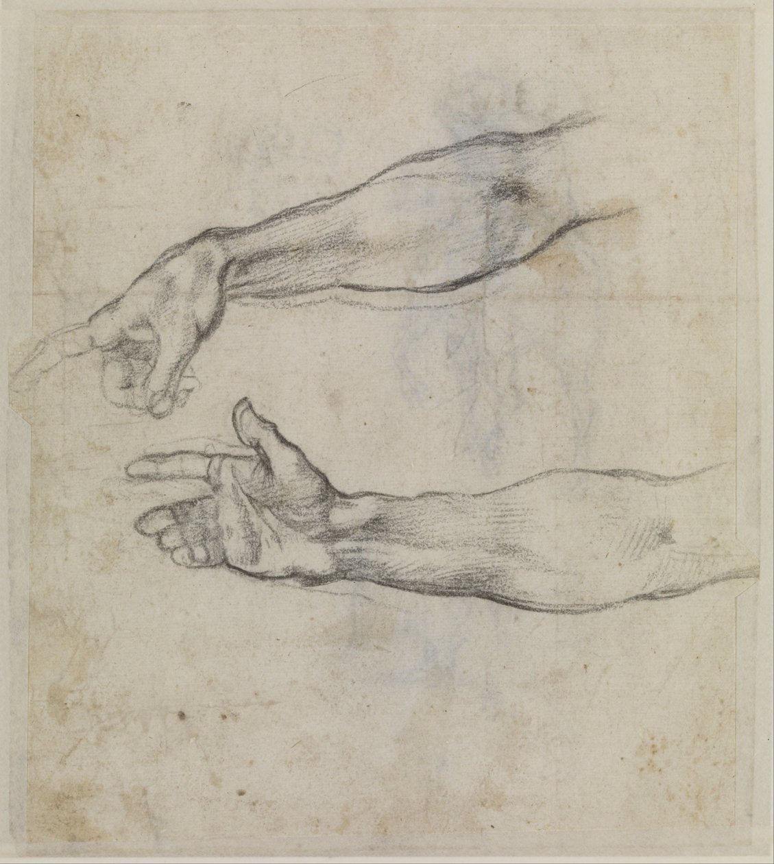 Estudos de um braço estendido para o fresco "A embriaguez de Noé" na Capela Sistina, c.1508-09 (giz preto sobre papel) de Michelangelo Buonarroti