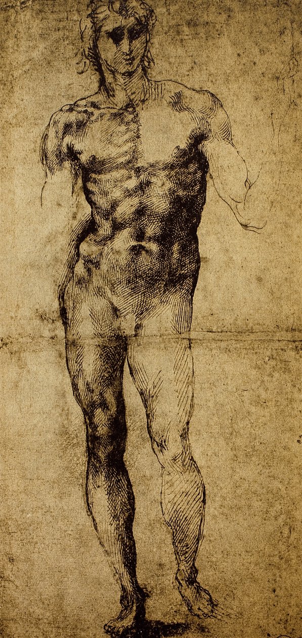 Estudo para um nu masculino, Michelangelo Buonarroti (1475-1564), desenho, Paris, Museu do Louvre de Michelangelo Buonarroti