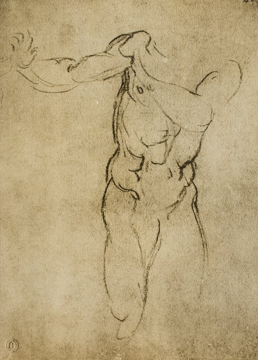 Estude para um busto masculino, desenhando por Michelangelo. Casa Buonarroti, Florença de Michelangelo Buonarroti
