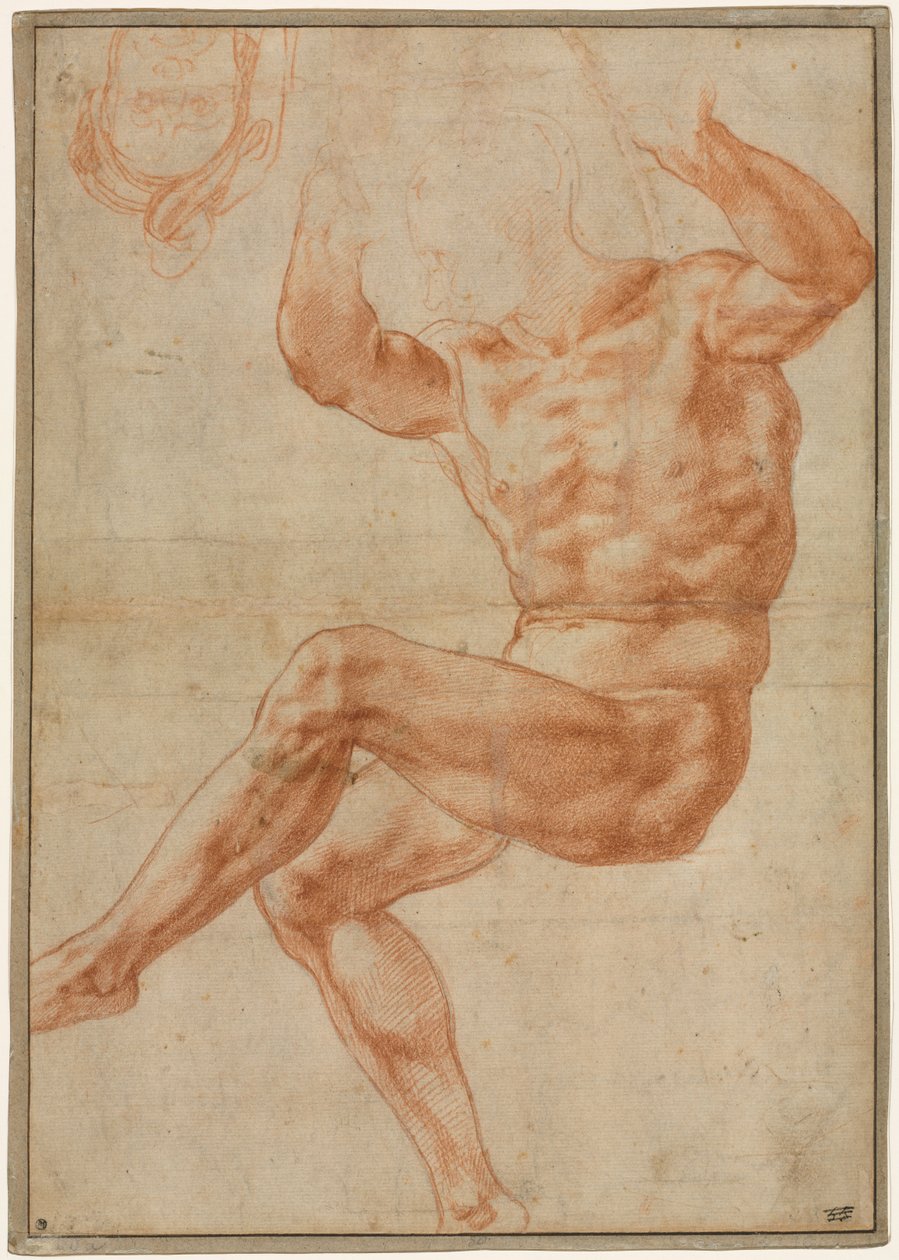 Estudo para os Jovens Nus sobre o Profeta Daniel (reto) de Michelangelo Buonarroti