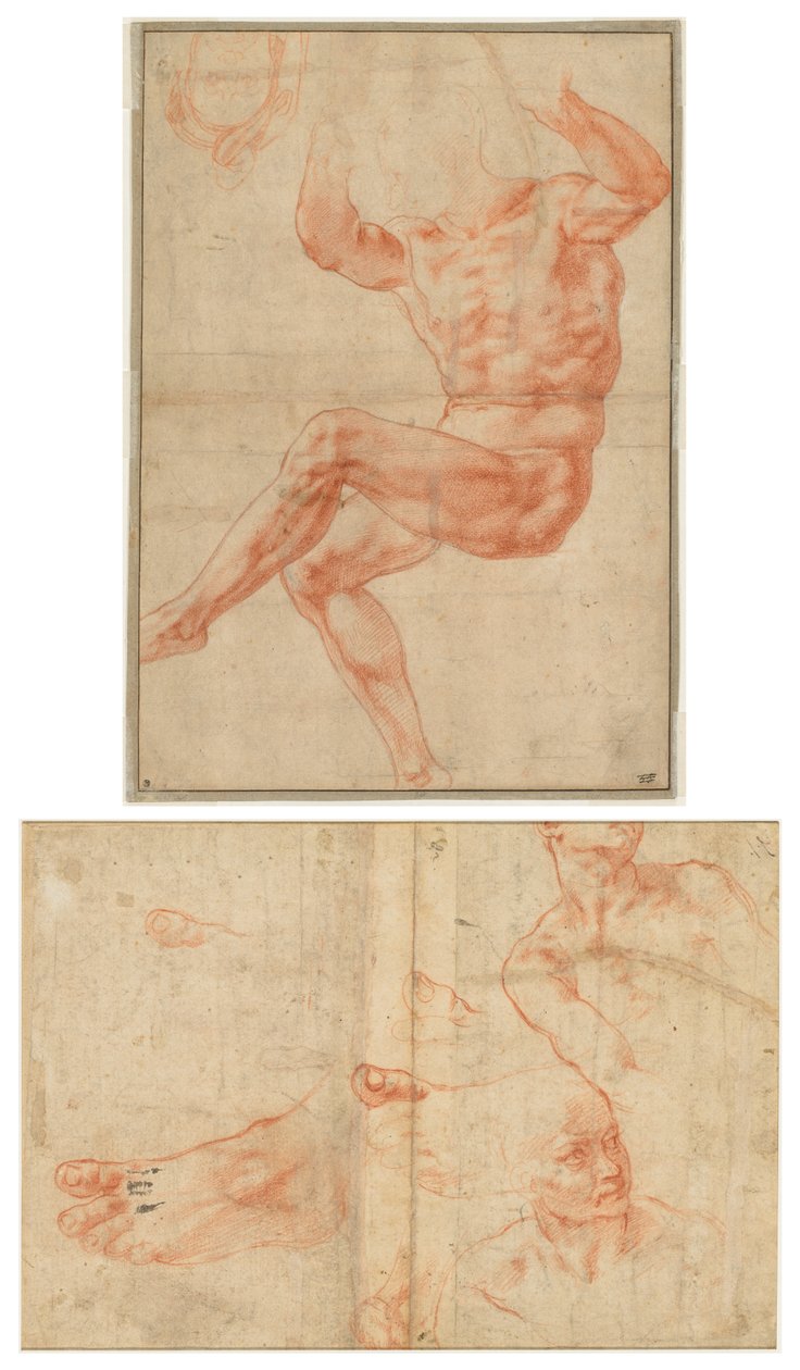 Estudo para a Juventude Nua sobre o Profeta Daniel (reto); Estudos de Figuras para o Teto Sistina (verso) de Michelangelo Buonarroti