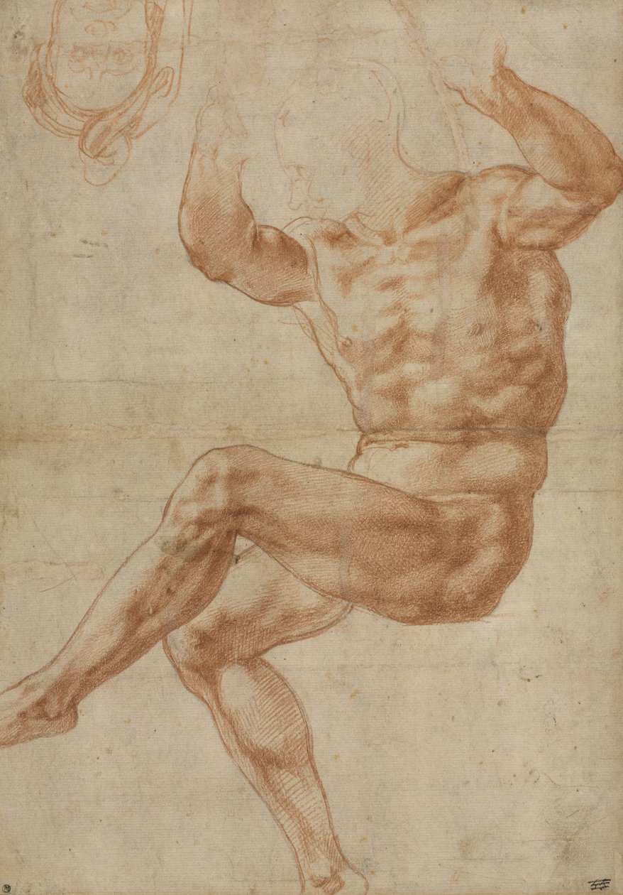 Estudo para a Juventude Nua sobre o Profeta Daniel, para o Teto Sistino, 1510-11 de Michelangelo Buonarroti