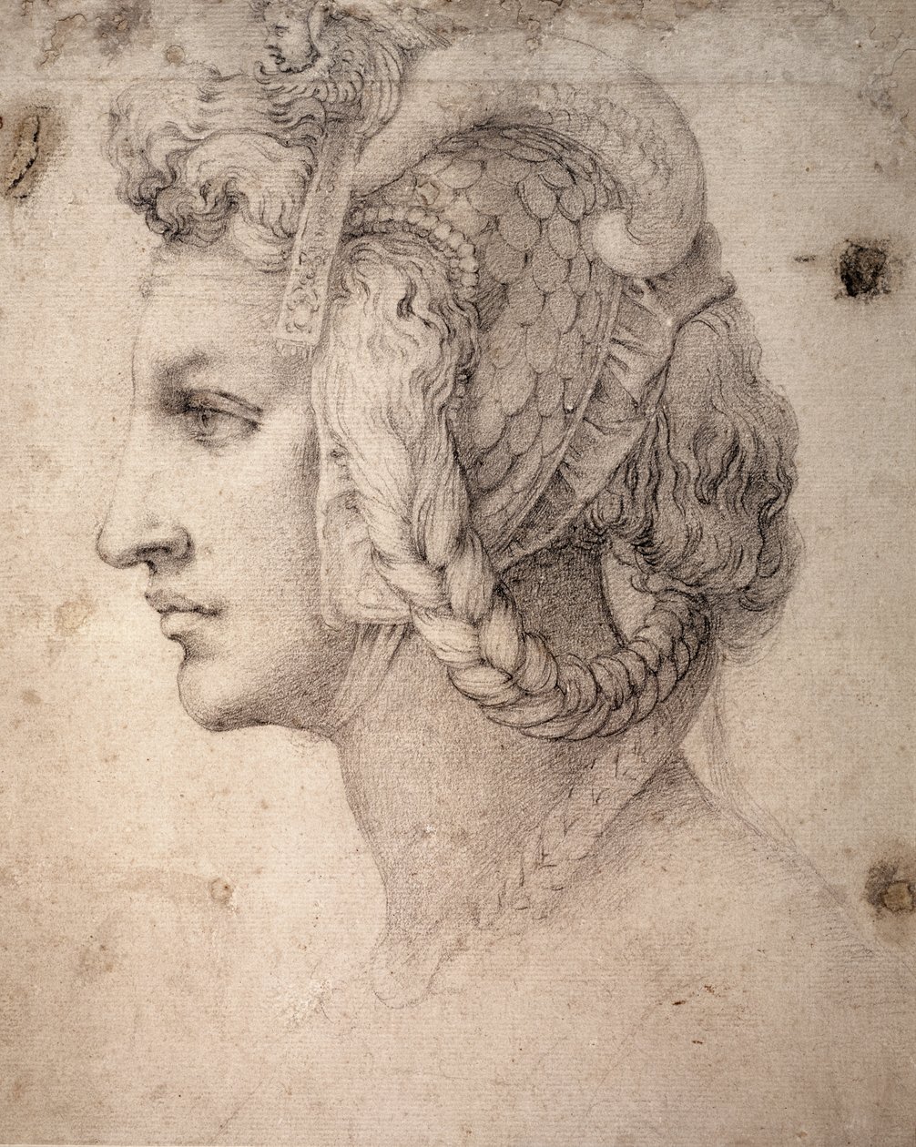 Estudo da Cabeça de Michelangelo Buonarroti