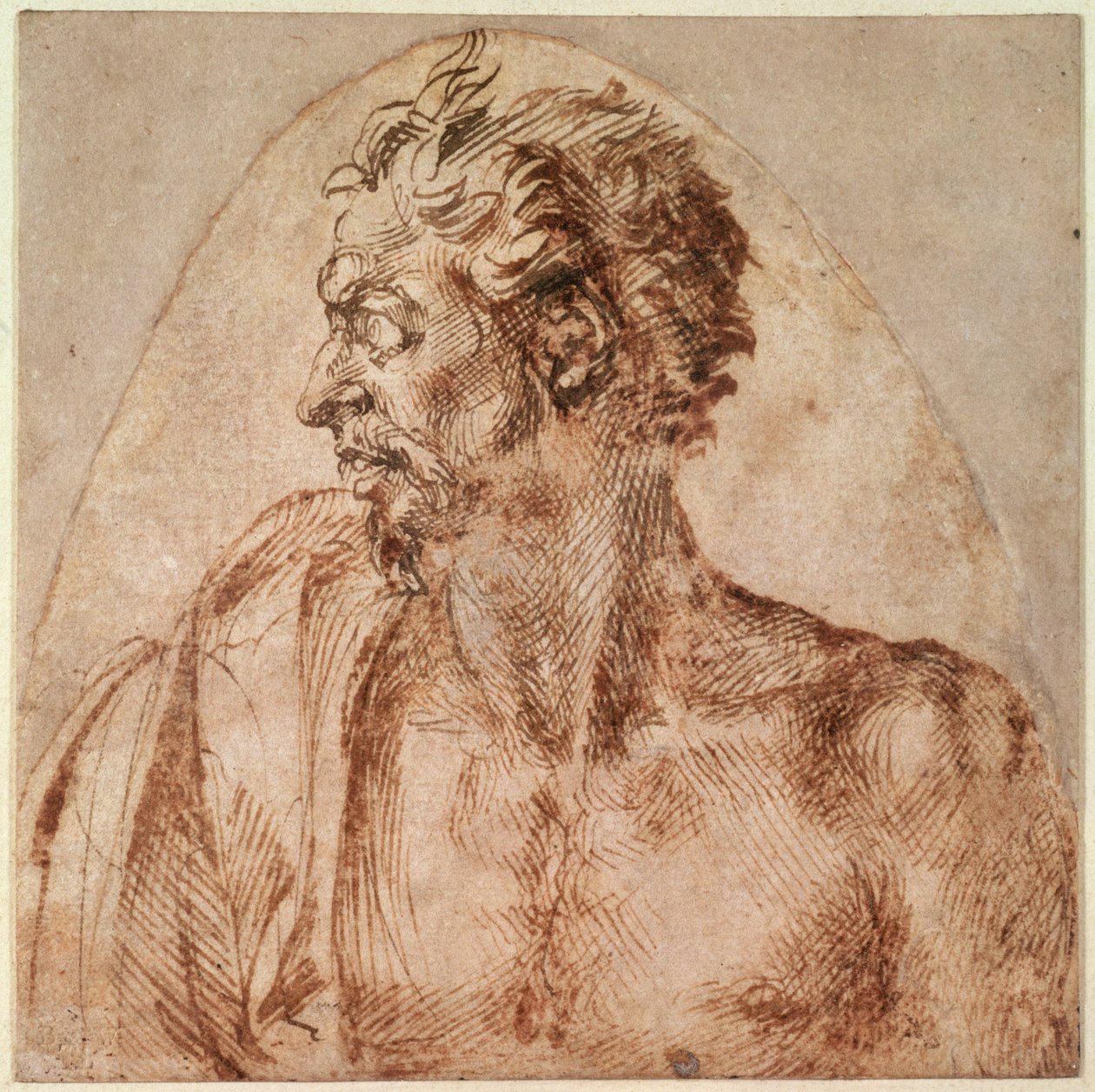 Estudo de Cabeça e Ombros (tinta sobre papel) de Michelangelo Buonarroti