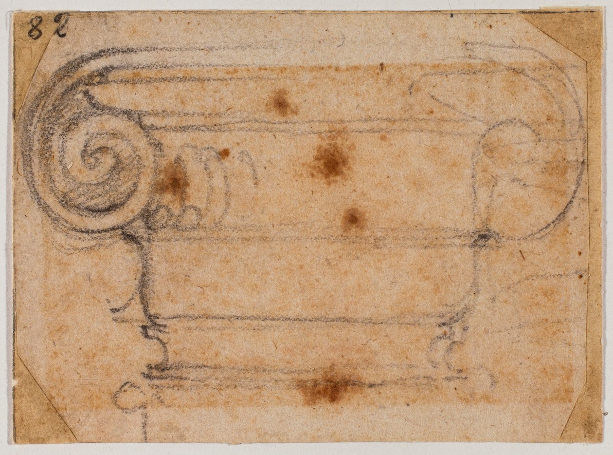 Estudo do capital iónico de Michelangelo Buonarroti