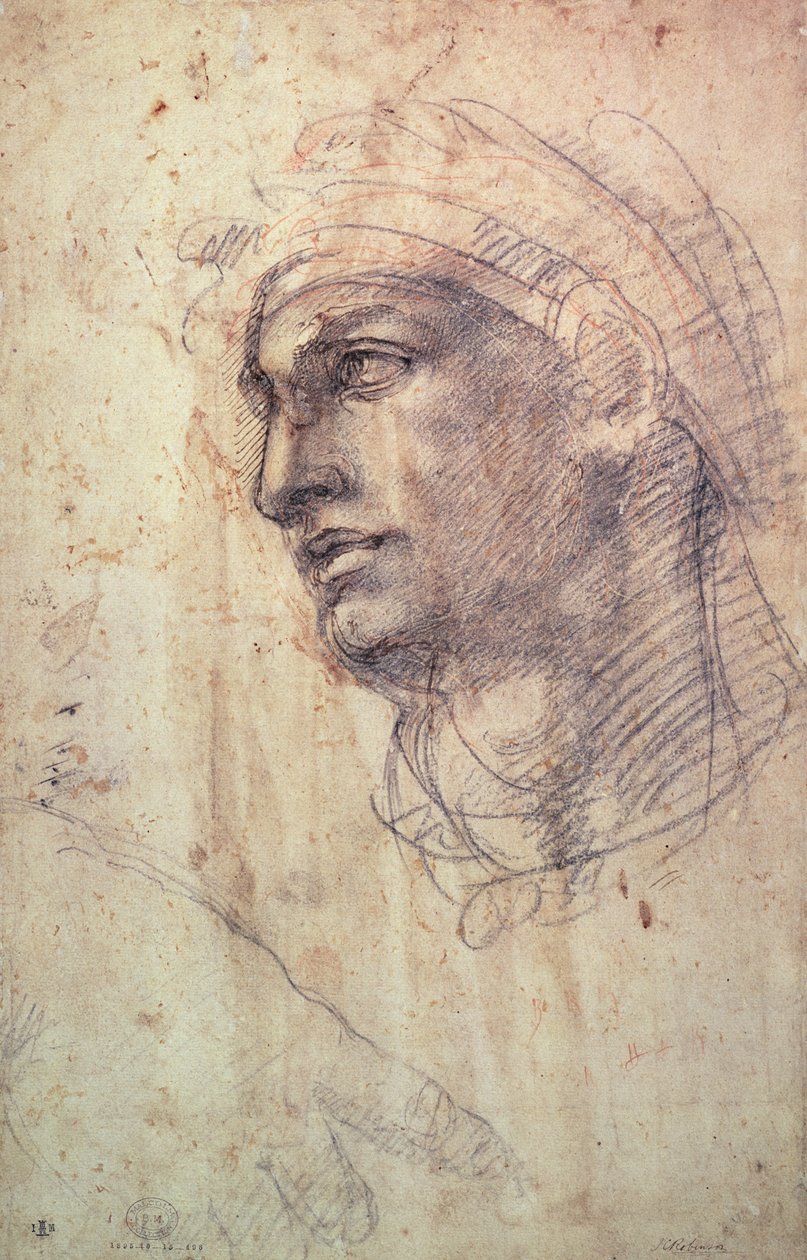Estudo de uma cabeça (carvão sobre papel) de Michelangelo Buonarroti